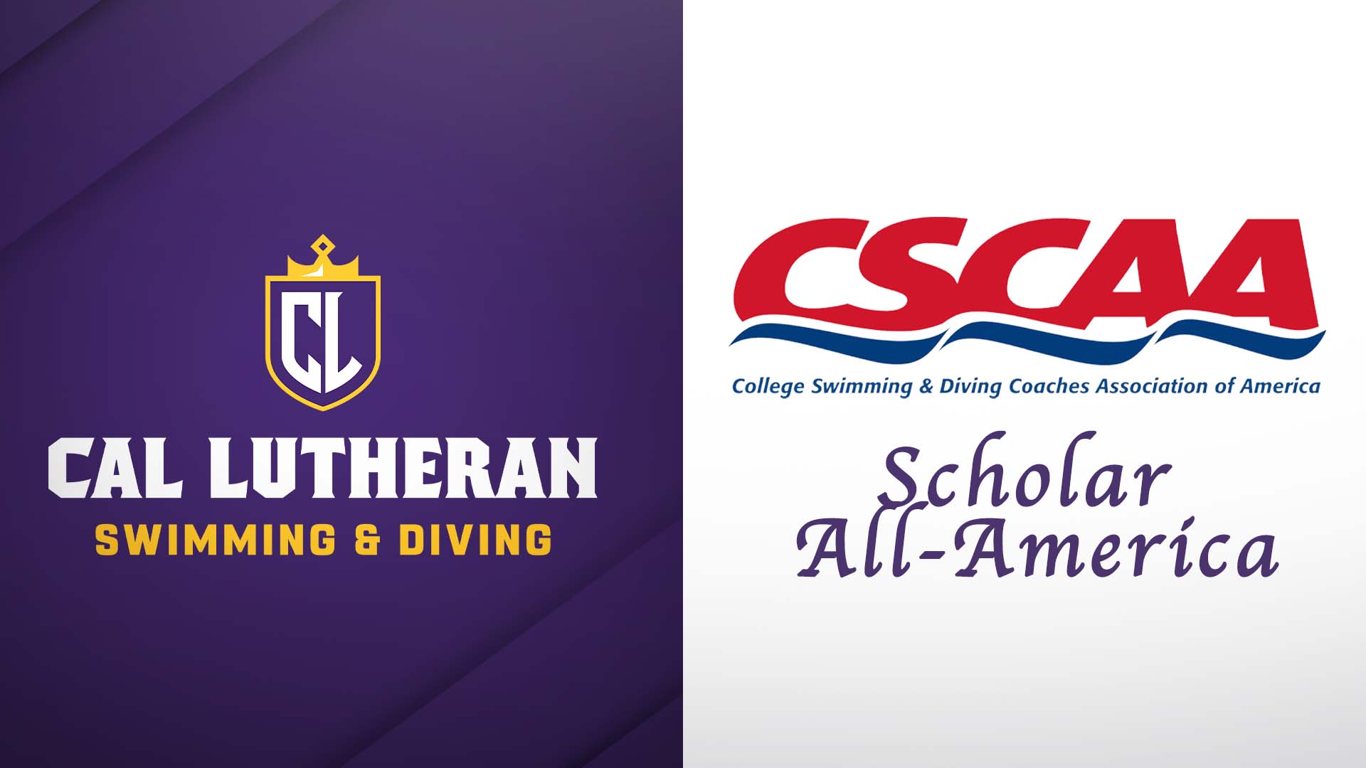 Swimming & Diving Teams, Seven Individuals Receive Scholar All-America Honors