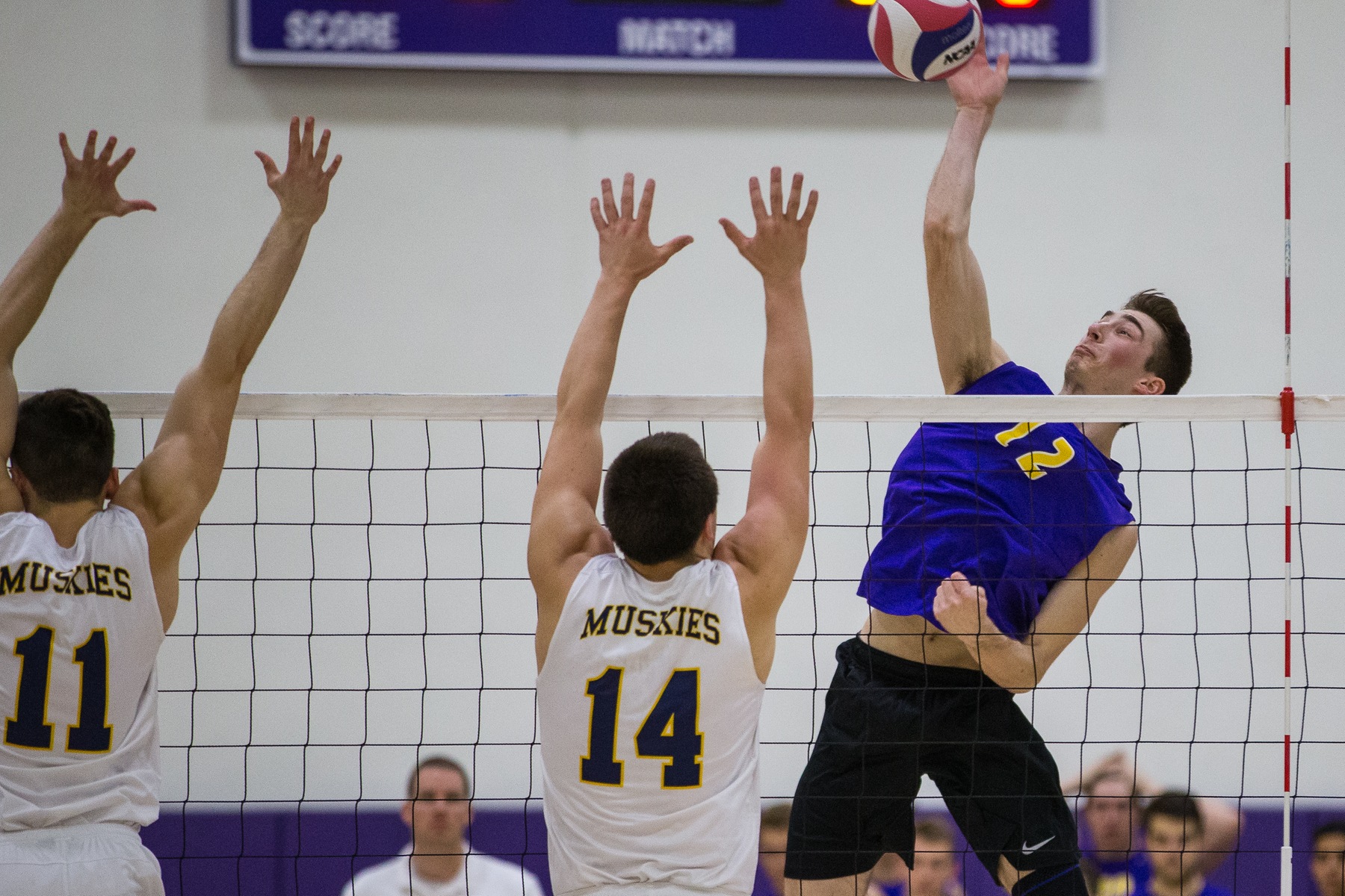 Cal Lutheran Edges Wentworth to Stay Perfect on Road Trip