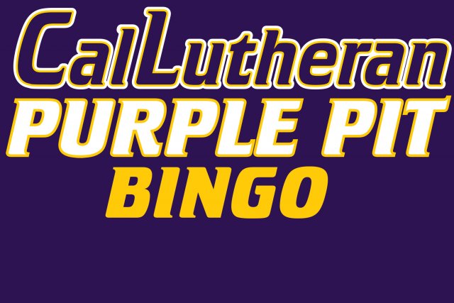 Get Ready to Play Purple Pit BINGO!