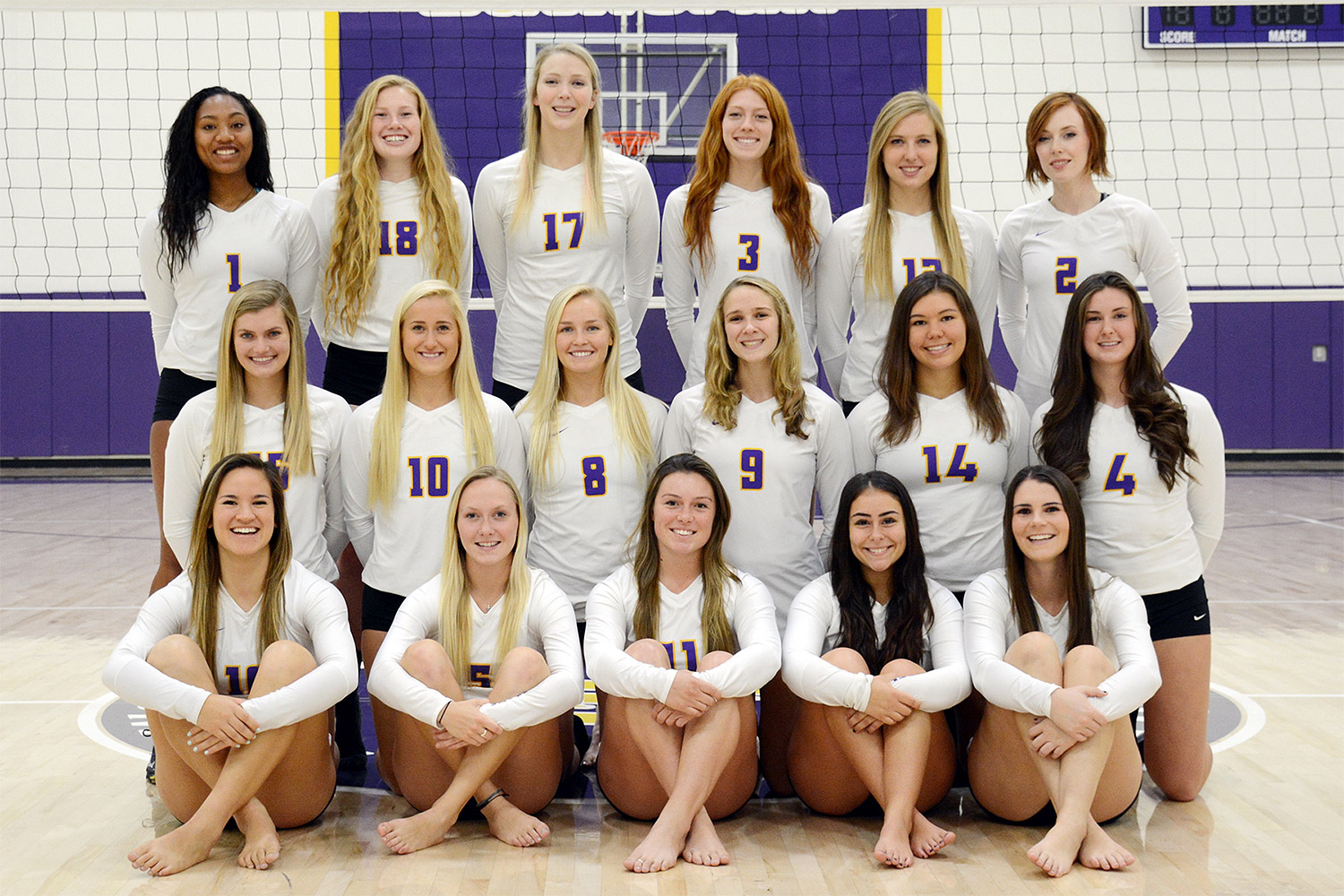 Regals Volleyball Earns Sixth Straight AVCA Academic Team Honor