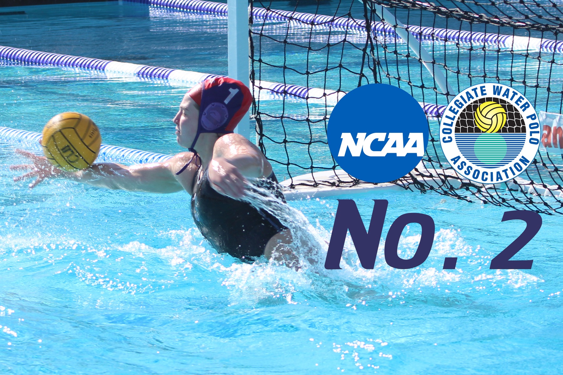 Women’s Water Polo No. 2 in NCAA/CWPCA Poll